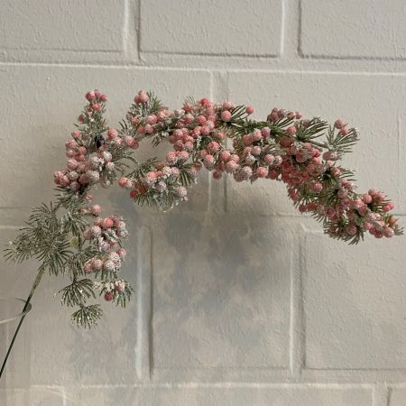 Lärchenzweig mit rose Beeren und Schnee besetzt