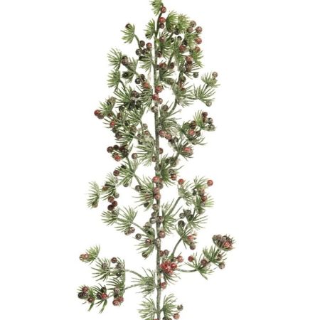 Lärchenzweig mit roten Beeren und Schnee besetzt