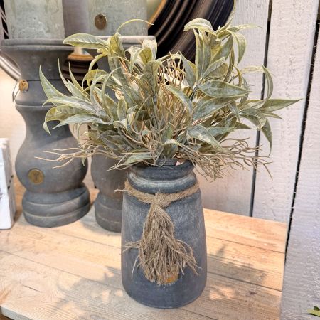 Leucothoe-Busch grau/grün