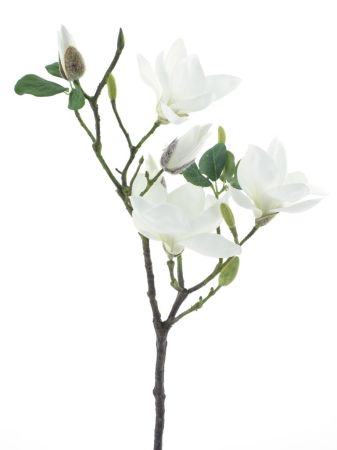 Magnolienzweig cream 