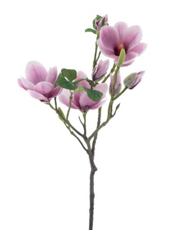 Magnolienzweig mauve