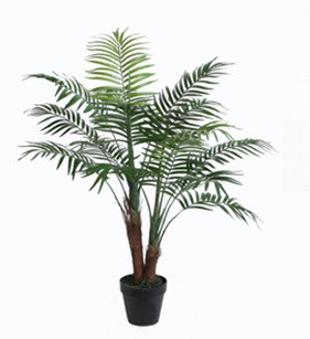 Mini Palme im Topf