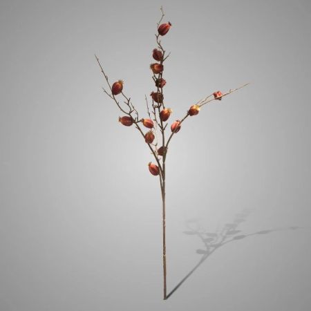 Mohnblumenzweig