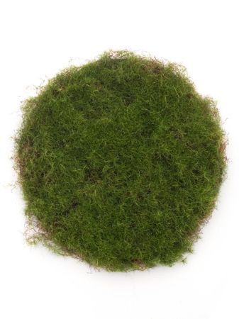 Moosmatte rund grün