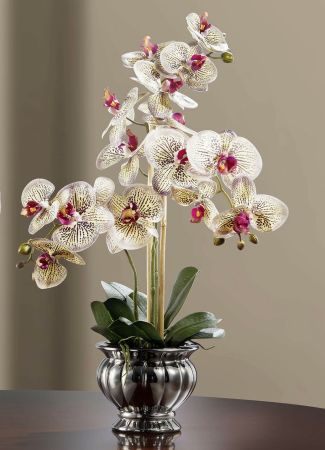 Orchidee im Keramiktopf Braun