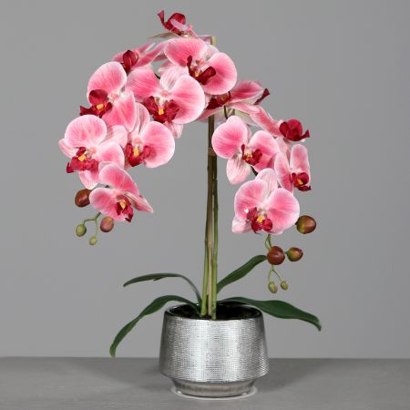 Orchidee im Keramiktopf Silber, rosa