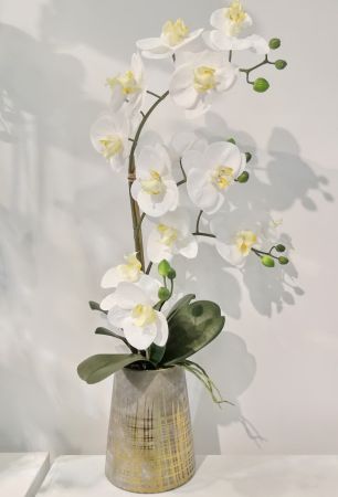 Orchidee im Keramiktopf mit Gold, weiß