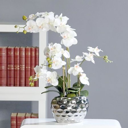 Orchidee im silbernen Keramiktopf