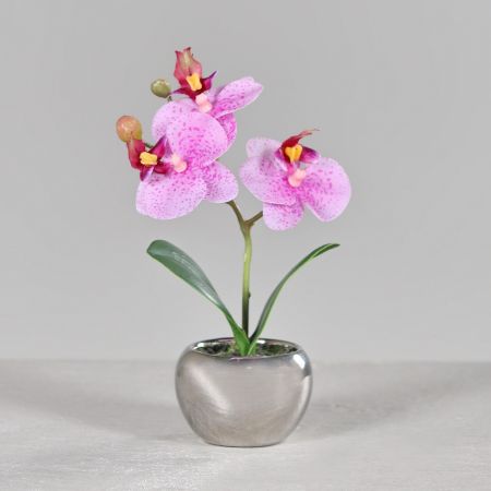 Orchidee im silbernen Keramiktopf pink