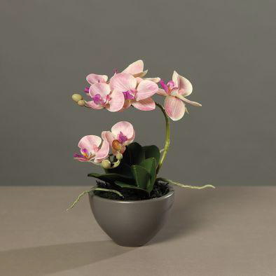 Orchidee rosa grauen Keramiktopf