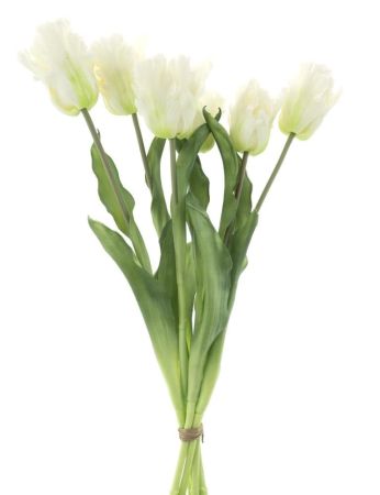 Papageientulpenstrauß creme 