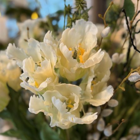 Papageientulpenstrauß creme x 6