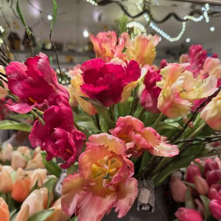 Papageientulpenstrauß rosa/cream/aubergine