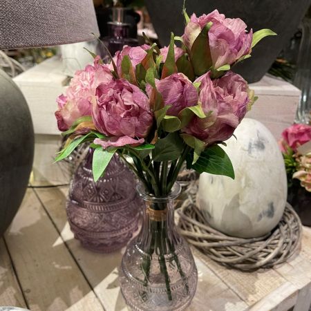 Pfingstrosen mauve 