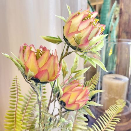 Protea Zweig pink