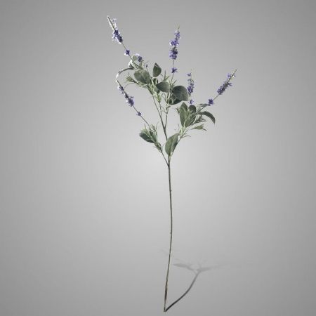 Salbeizweig blau