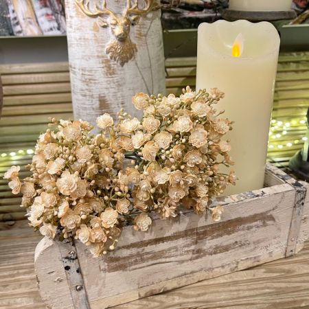 Schleierkraut Bündel beige