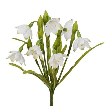 Schneeglöckchen x7 weiß