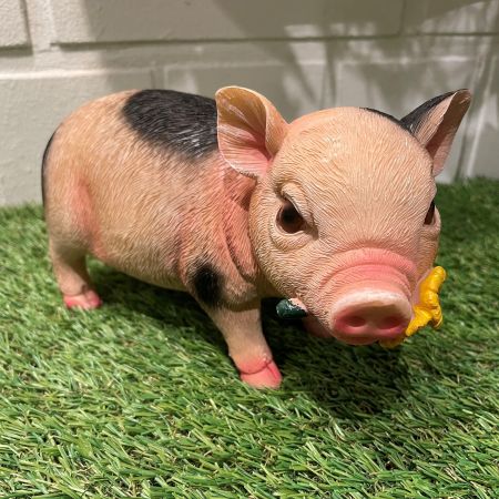 Schweinchen 'Tine'