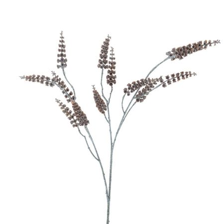 Seed-Zweig braun