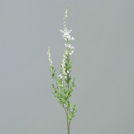 Spirea Zweig, creme