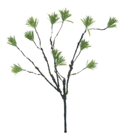 Steineibenzweig grün