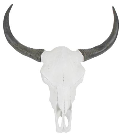 Stierkopf Skulptur 
