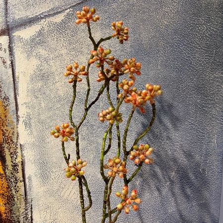 Strauch-Efeu Arborescens gelb/orange