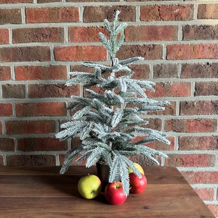 Tannenbaum beschneit im Zinktopf 
