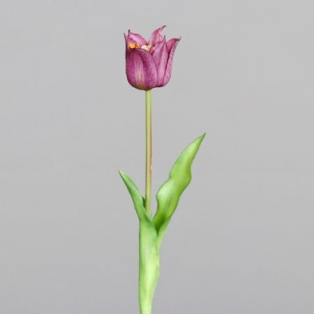 Tulpe blühend lavendel (real touch)