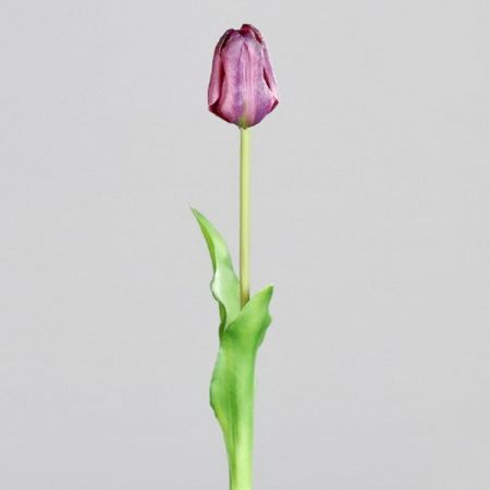 Tulpe geschlossen lavendel (real touch)