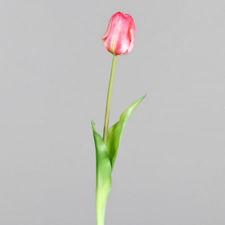 Tulpe geschlossen rosa (real touch)
