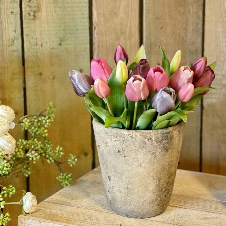Tulpenbund mauve/purple mix (real touch) 