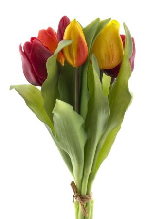 Tulpenbund rot/orange (real touch)