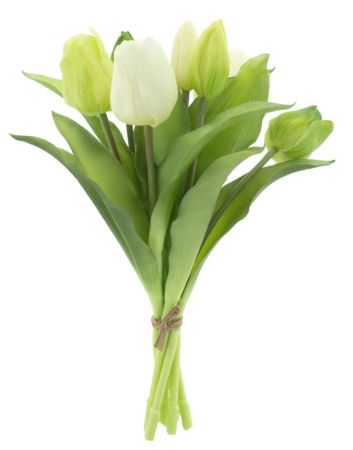 Tulpenbund weiß/creme (real touch)