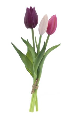 Tulpenbund x3 aubergine/mauve/pink real touch