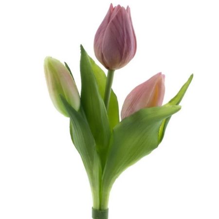 Tulpenbund x3 pink real touch