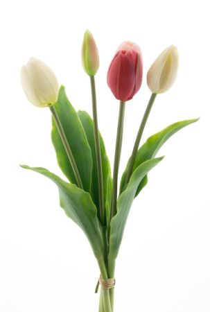 Tulpenbund x3 pink/creme/comboreal touch