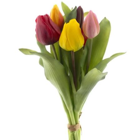 Tulpenbund x7 mixed combo real touch