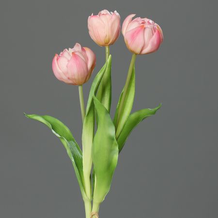Tulpenstrauß rose gefüllte Blüte