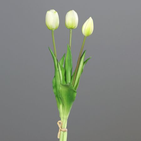 Tulpenstrauß x 3 cream real touch 