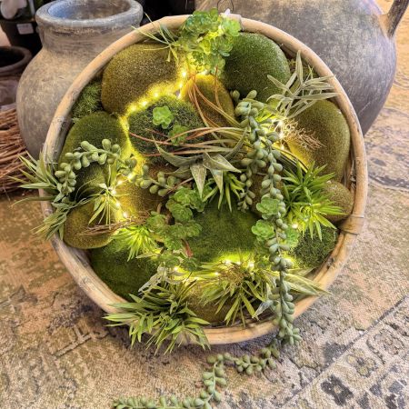 Wanddekoration 'Sukkulententraum'