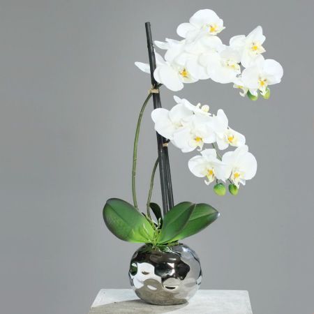 Weiße Orchidee im silbernen Keramiktopf