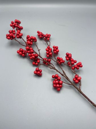 Wildbeerenzweig, rot 
