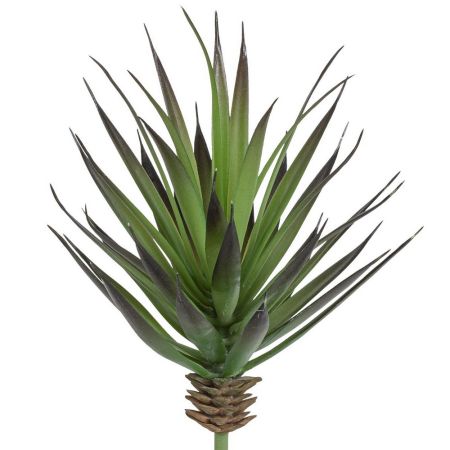 Yuccapflanze Pick grün