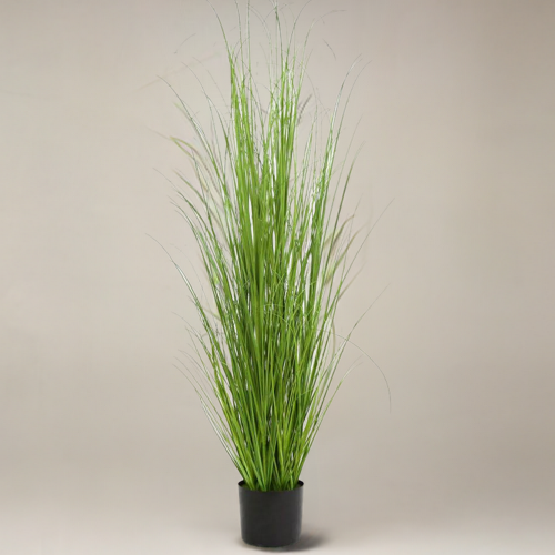 müslischalen weiß Villeroy & Boch Müslischale 15,5cm Keramik Porzellan