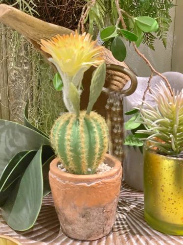 Kaktus im Topf ca. 23 cm Kunstblumen / Pflanzen 