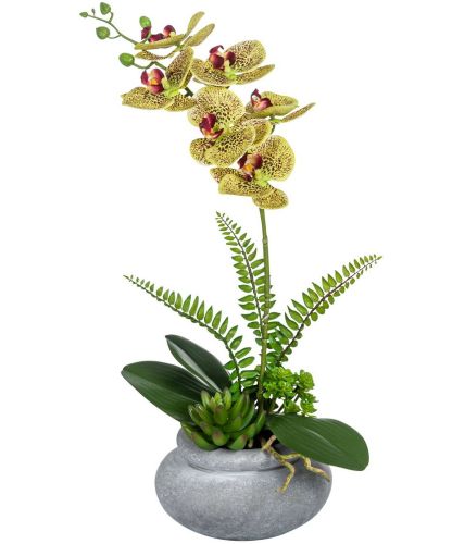 Orchidee grün/lila mit Sukkulenten im Topf ca. 46 cm Kunstblumen / Pflanzen